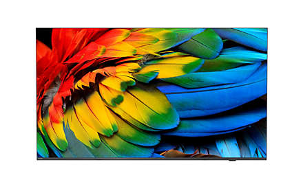 Philips 65HFL6214U/12 tv 165,1 cm (65") 4K Ultra HD Wifi Antraciet 400 cd/m² (65HFL6214U/12) thumbnail