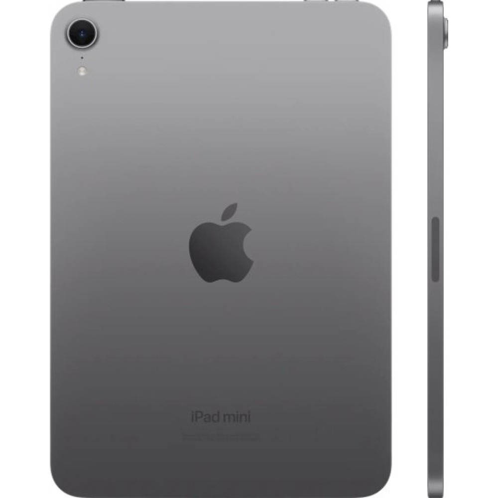 Apple IPAD MINI WI-FI 256GB SPACE GRAY-DKN (MXNA3KN/A) thumbnail