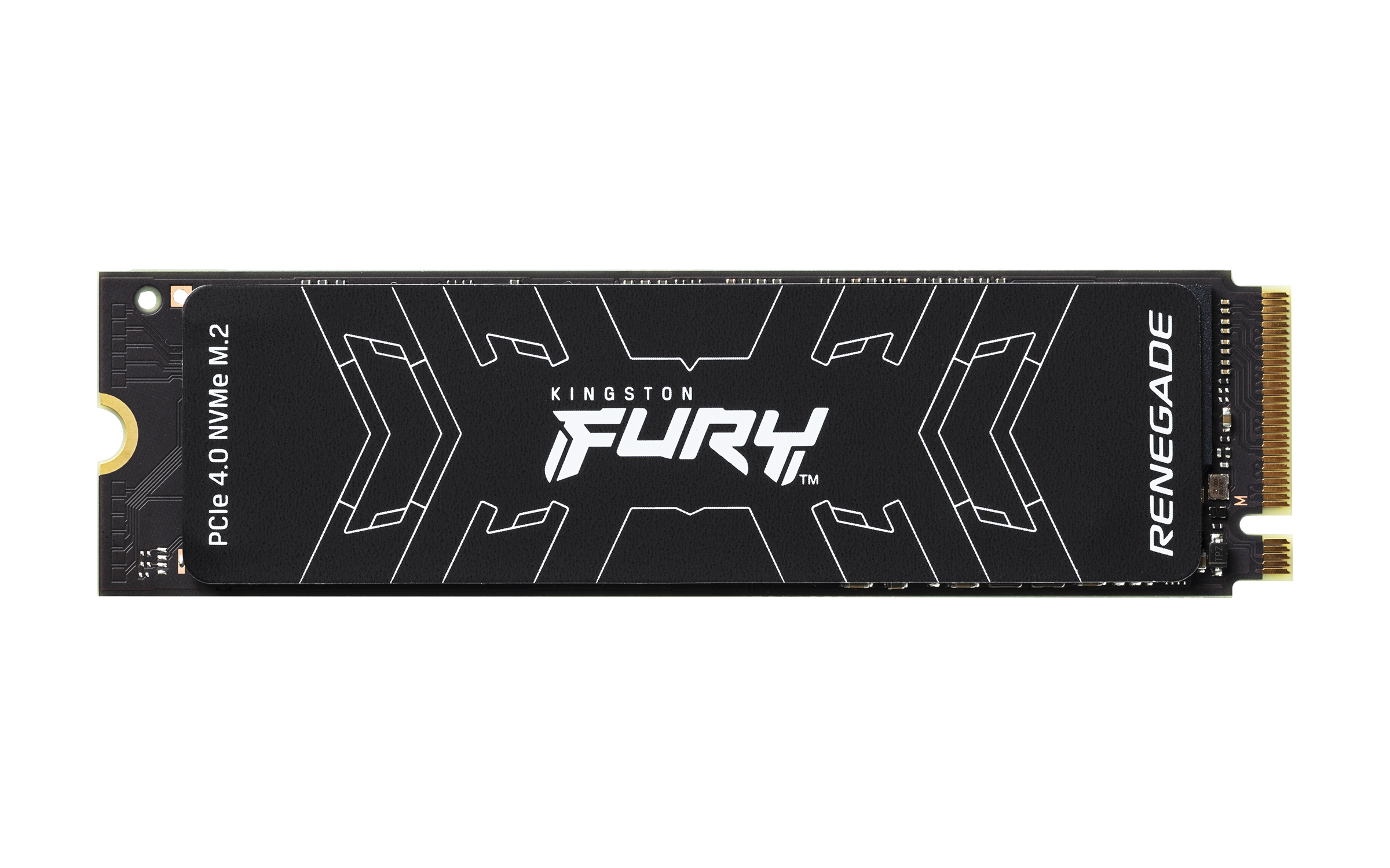 Kingston Technology 1000G FURY RENEGADE M.2 2280 NVMe SSD (SFYRS/1000G) thumbnail