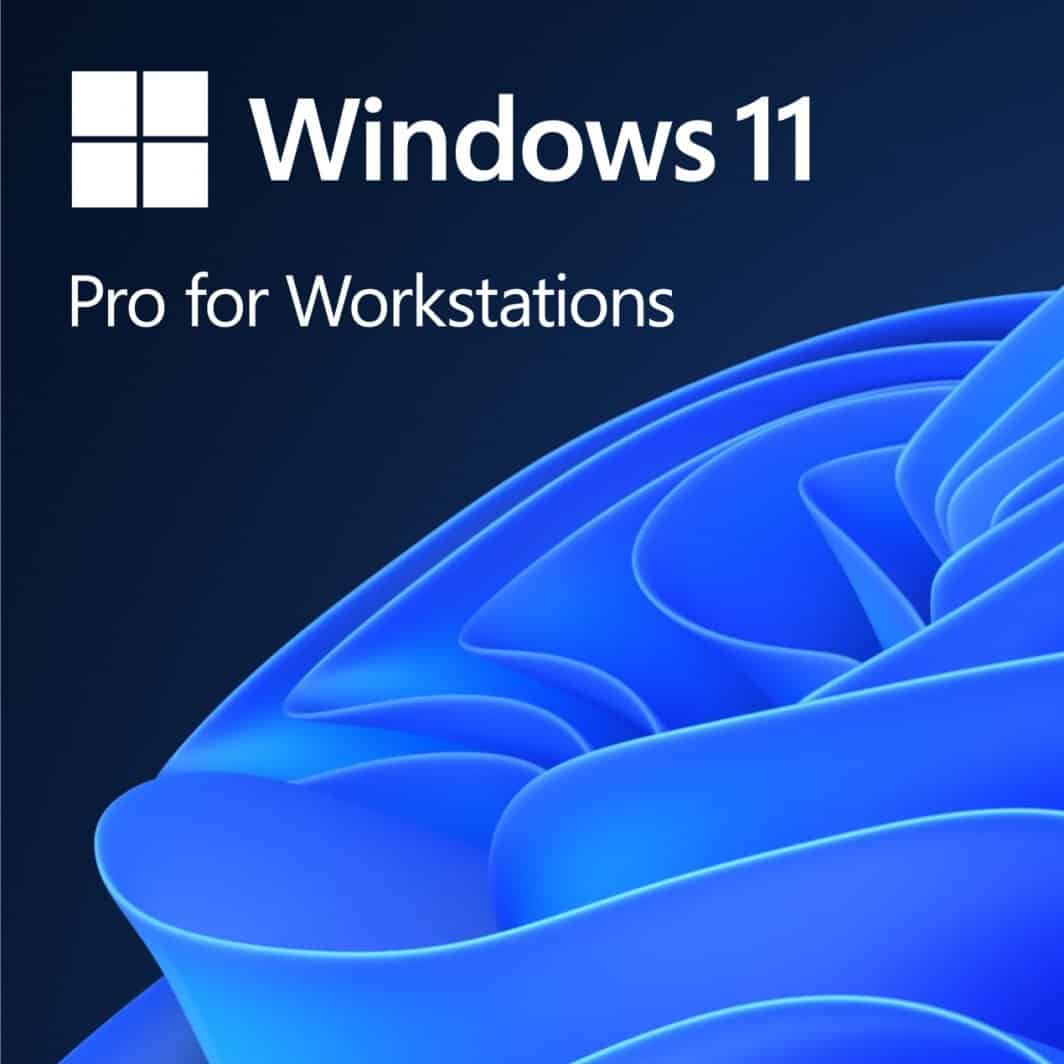 Microsoft Win Pro for Wrkstns 11 PL x64 (HZV-00117) thumbnail