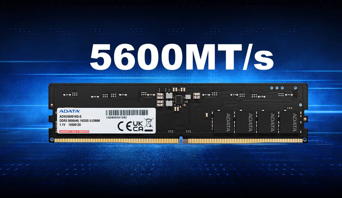 ADATA DDR5 5600 U-DIMM hukommelsesmodu (AD5U56008G-DT) thumbnail