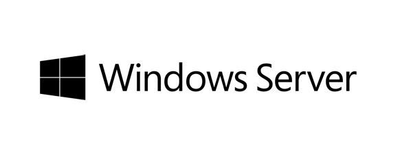 Fujitsu Windows Server 2019 Standard 1 licentie(s) (PY-WBS94A) thumbnail