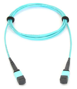 Allied Telesis AT-MTP12-5 Glasvezel kabel 5 m MTP (AT-MTP12-5) thumbnail