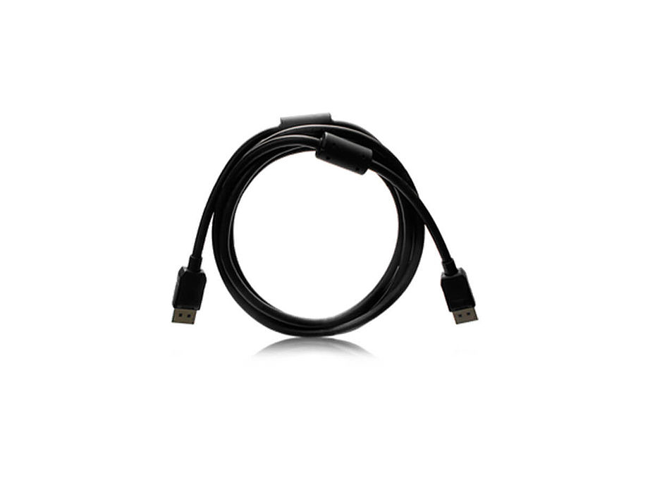 EIZO PP200-K 2 m DisplayPort Zwart (PP200-K) thumbnail