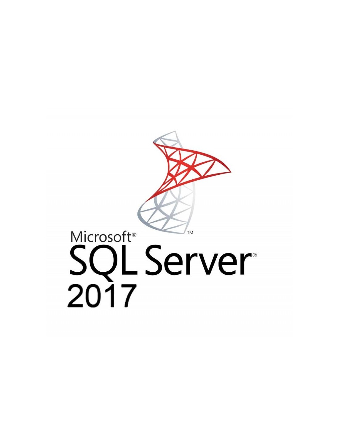 Microsoft SQL Server Standard (228-11135) thumbnail