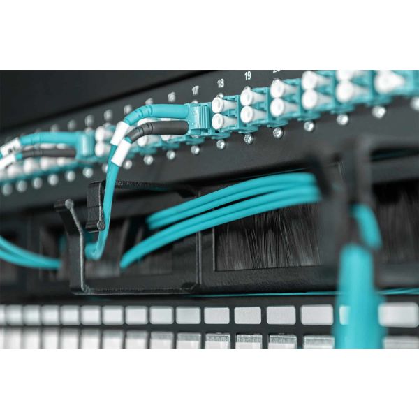 Digitus DN-97663 rack-toebehoren Paneel voor kabelbeheer (DN-97663)
