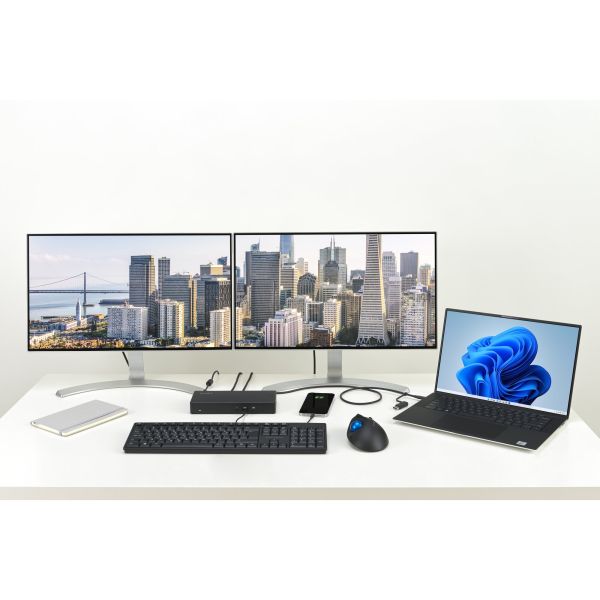 Kensington SD4781P EQ USB-C & USB-A Dual 4K Docking Station (K33603EU)