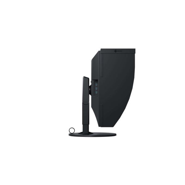 EIZO ColorEdge CG319X LED display 79 cm (31.1") 4096 x 2160 Pixels 4K DCI Zwart (CG319X)