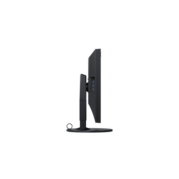 EIZO ColorEdge CG319X LED display 79 cm (31.1") 4096 x 2160 Pixels 4K DCI Zwart (CG319X)