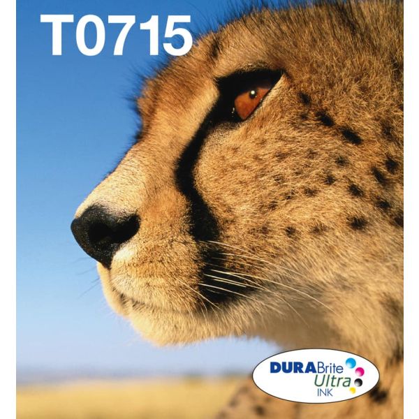 Epson Multipack 4-colours T071 EasyMail (C13T07154511)