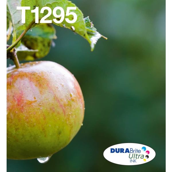 Epson Apple Multipack 4-colours T129 EasyMail (C13T12954511) Epson Apple Multipack 4-colours T129 EasyMail (C13T12954511)