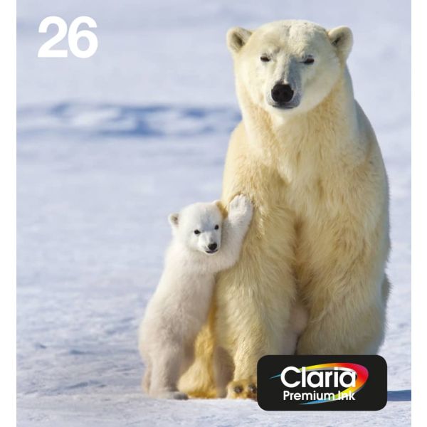 Epson Polar bear Multipack 4-colours 26 EasyMail (C13T26164511) Epson Polar bear Multipack 4-colours 26 EasyMail (C13T26164511)