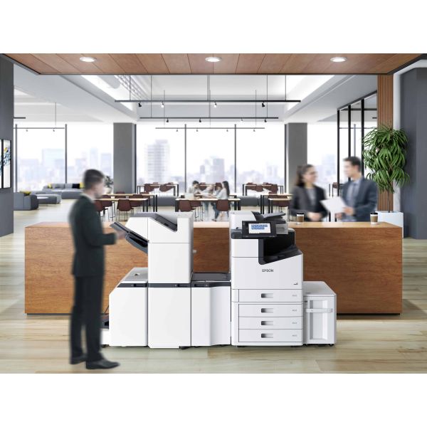 Epson WorkForce Enterprise WF-C20600 D4TW (C11CH86401)