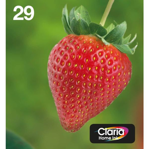 Epson Strawberry Multipack 4-colours 29 EasyMail (C13T29864511) Epson Strawberry Multipack 4-colours 29 EasyMail (C13T29864511)