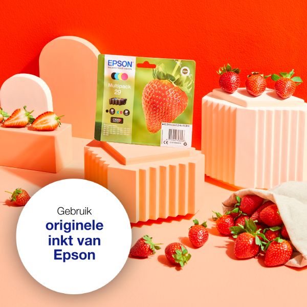 Epson Strawberry Singlepack Magenta 29XL Claria Home Ink (C13T29934022)