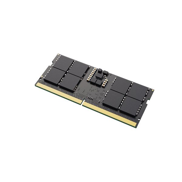 Lexar LD5DS016G-B4800GSST geheugenmodule 16 GB DDR5 4800 MHz ECC (LD5DS016G-B4800GSST)