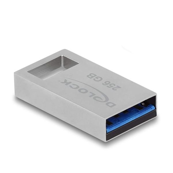 DeLOCK 54006 USB flash drive 256 GB USB Type-A 3.0 Grijs (54006)