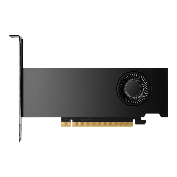 HP SPS-GFX NVIDIA RTX 2000 Ada 8GB (N54299-001)