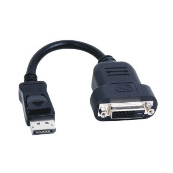 Fujitsu S26361-F4066-L13 video kabel adapter DisplayPort DVI-D Zwart (S26361-F4066-L13)