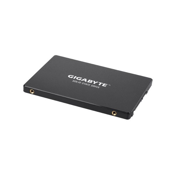 Gigabyte GPSS1S120-00-G internal solid state drive 2.5" 120 GB SATA III (GP-GSTFS31120GNTD)