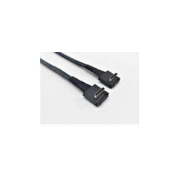 Intel AXXCBL620CRCR Serial Attached SCSI (SAS)-kabel 0,62 m Zwart (AXXCBL620CRCR)