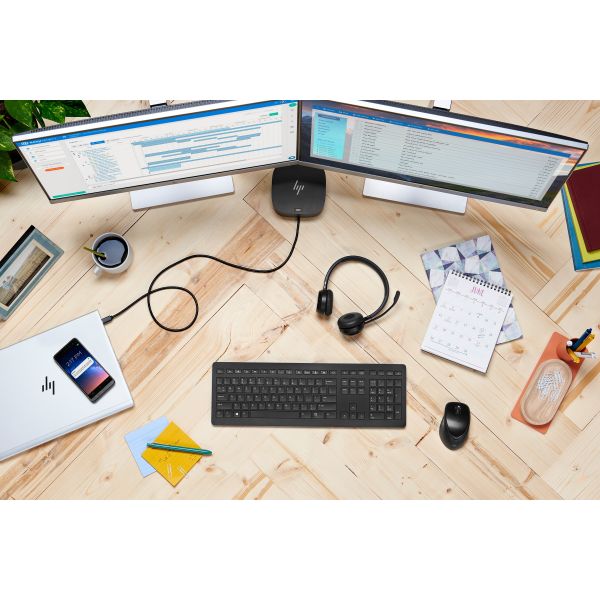 HP draadloze Premium muis (1JR31AA)