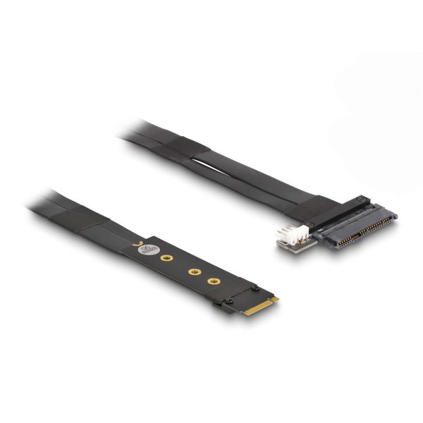 DeLOCK 64216 interfacekaart/-adapter Intern M.2, U.2 (64216)