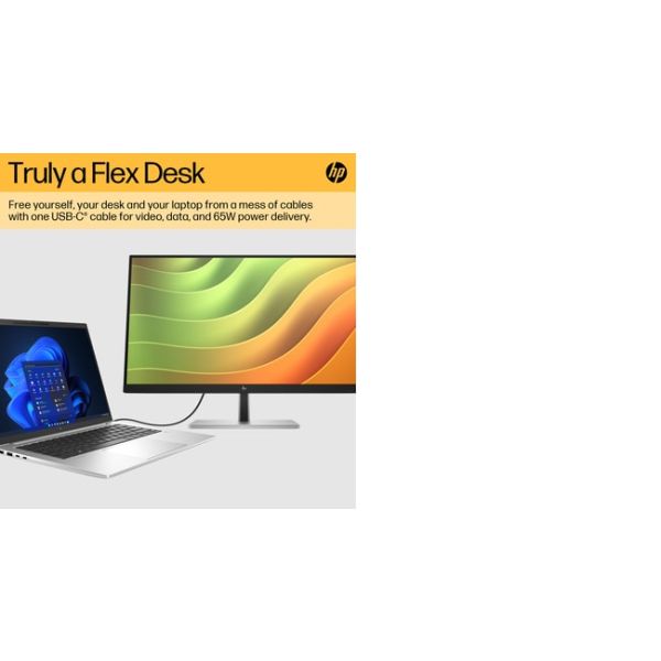 HP E24u G5 60,5 cm (23.8") 1920 x 1080 Pixels Full HD LCD Zwart, Zilver (6N4D0AA#ABB)