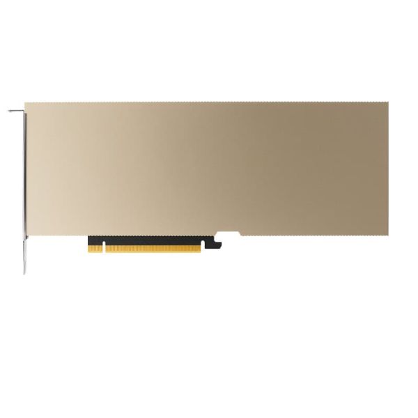 PNY A10 NVIDIA 24 GB GDDR6 (900-2G133-0020-100)