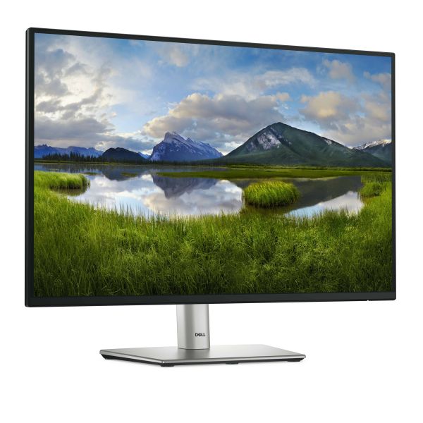 DELL P Series P2425 computer monitor 61,1 cm (24.1") 1920 x 1200 Pixels WUXGA LCD Zwart (DELL-P2425)