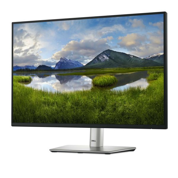 DELL P Series P2425E computer monitor 61,1 cm (24.1") 1920 x 1200 Pixels WUXGA LCD Zwart (DELL-P2425E)