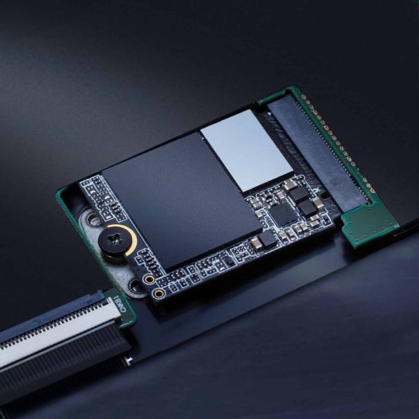 XPG GAMMIX S55 2 TB M.2 PCI Express 4.0 NVMe 3D NAND (SGAMMIXS55-2T-C) XPG GAMMIX S55 2 TB M.2 PCI Express 4.0 NVMe 3D NAND (SGAMMIXS55-2T-C)
