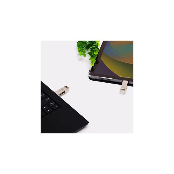 HP HPFD206C-256 USB flash drive 256 GB USB Type-A / USB Type-C 3.2 Gen 2 (3.1 Gen 2) Zilver (HPFD206C-256)