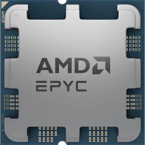 AMD EPYC 4244P Processor (100-000001480)