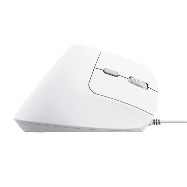 Trust Bayo II muis Kantoor Rechtshandig USB Type-A Optisch 2400 DPI (25397)