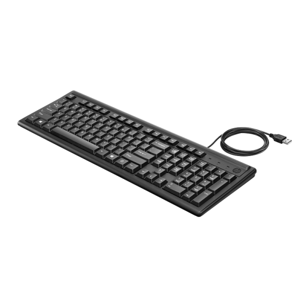 HP Keyboard 100 Arabisch (L07896-171)