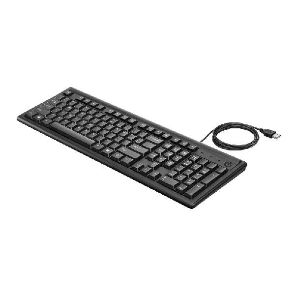 HP KEYBOARD 100 FIN (L07896-351)