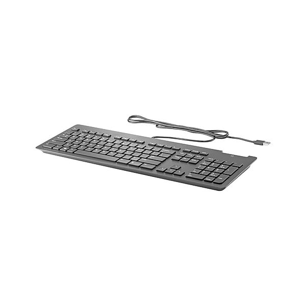 HP Wired Desktop 320K Slim Keyboard (L34195-091)