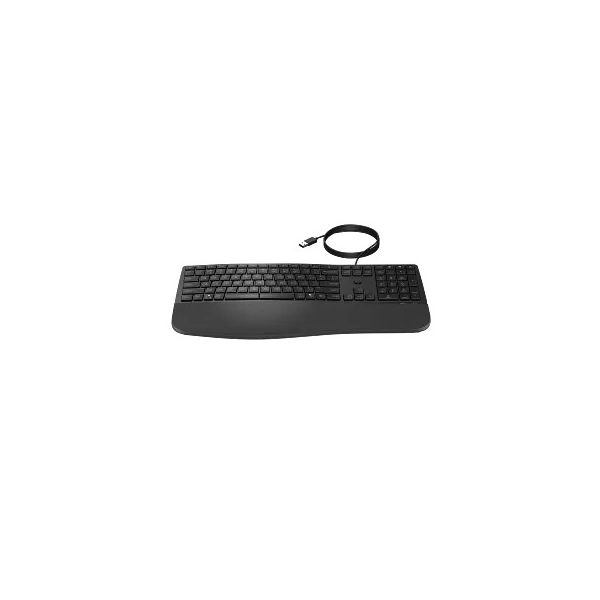 HP SPS-KBD HP 310 BLACK WIRED NP HUNG (N54685-211)