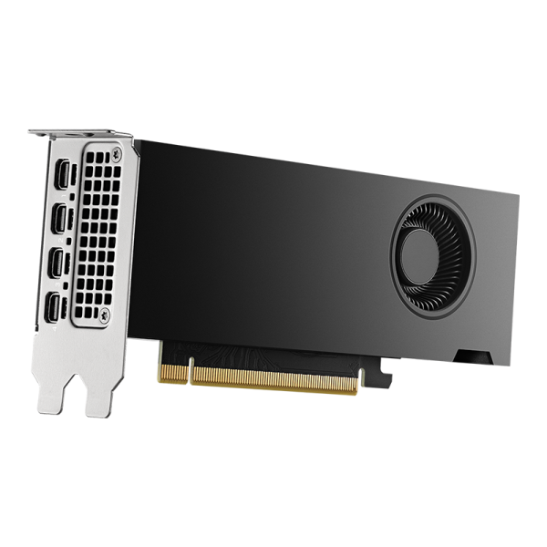 HP NVIDIA RTX 2000 ADA 8GB Videokaart (N99087-001)