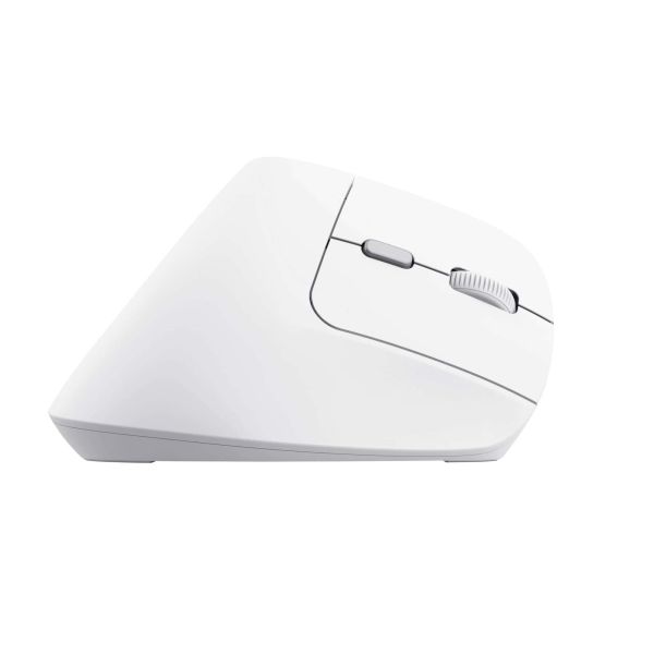 Trust Bayo II muis Kantoor Rechtshandig RF Draadloos Optisch 2400 DPI (25398)