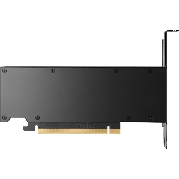 HP NVIDIA RTX PH x2xxx 4mDP Graphics (8D6B8AA) n/a