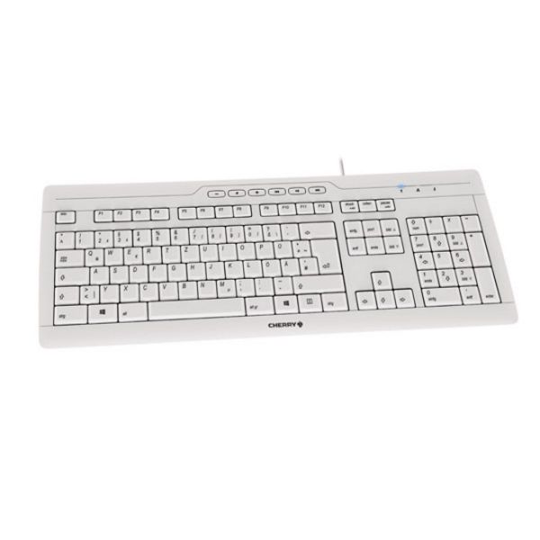 CHERRY STREAM 3.0 toetsenbord Kantoor USB Zwitsers Grijs (G85-23200CH-0)