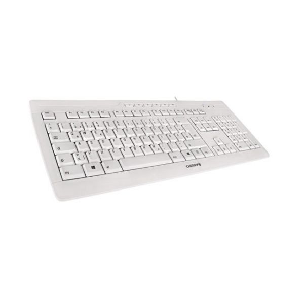 CHERRY STREAM 3.0 toetsenbord Kantoor USB Zwitsers Grijs (G85-23200CH-0)