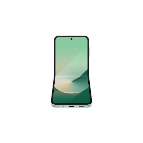 Samsung Galaxy Z Flip6 (SM-F741BLGGEUB)