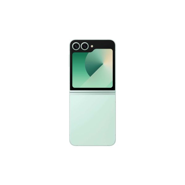 Samsung Galaxy Z Flip6 (SM-F741BLGGEUB)
