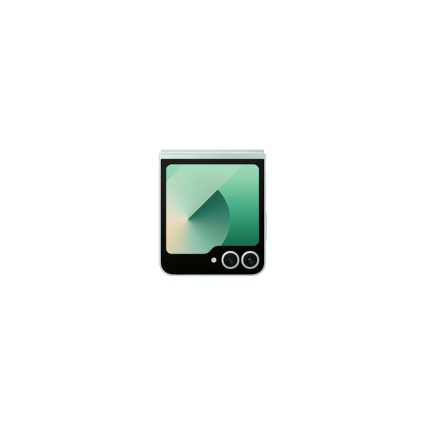 Samsung Galaxy Z Flip6 (SM-F741BLGGEUB)