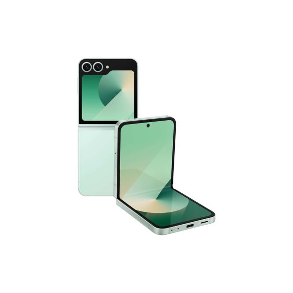 Samsung Galaxy Z Flip6 (SM-F741BLGHEUB)