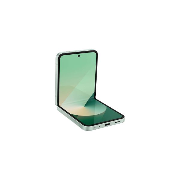 Samsung Galaxy Z Flip6 (SM-F741BLGHEUB)