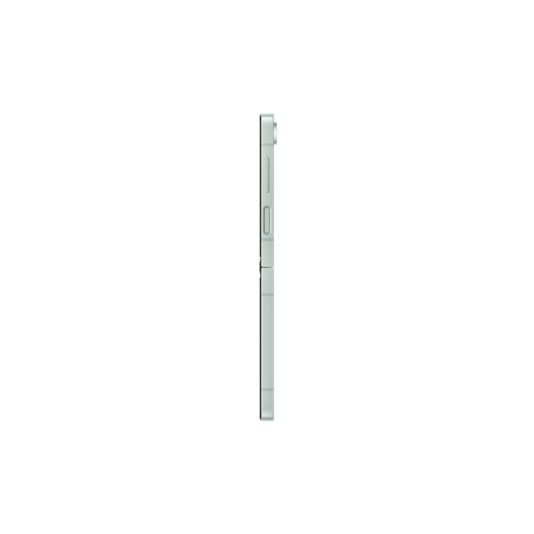 Samsung Galaxy Z Flip6 (SM-F741BLGHEUB)